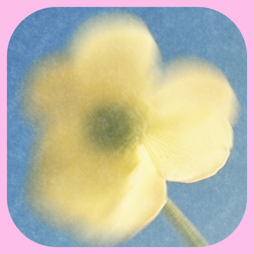 Monograph App Icon